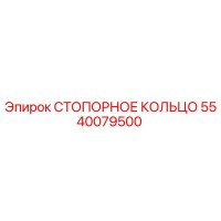 5540079500 СТОПОРНОЕ КОЛЬЦО Эпирок