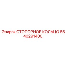 5540291400 СТОПОРНОЕ КОЛЬЦО Эпирок