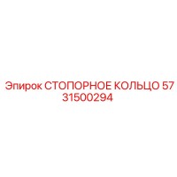 5731500294 СТОПОРНОЕ КОЛЬЦО (Epiroc)