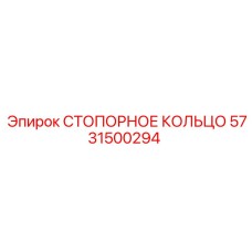 5731500294 СТОПОРНОЕ КОЛЬЦО (Epiroc)