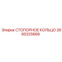 2695325866 СТОПОРНОЕ КОЛЬЦО Epiroc