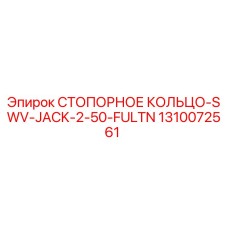 1310072561 СТОПОРНОЕ КОЛЬЦО-SWV-JACK-2-50-FULTN Epiroc