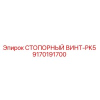 9170191700 СТОПОРНЫЙ ВИНТ-PK5 Epiroc
