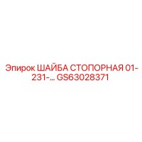 GS63028371 ШАЙБА СТОПОРНАЯ 01-231-… Epiroc