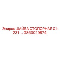 GS63029874 ШАЙБА СТОПОРНАЯ 01-231-… Epiroc