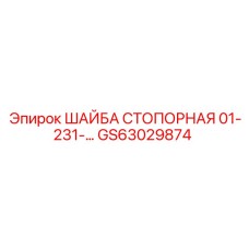GS63029874 ШАЙБА СТОПОРНАЯ 01-231-… Epiroc