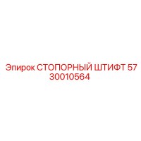 5730010564 СТОПОРНЫЙ ШТИФТ Epiroc