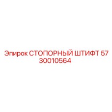 5730010564 СТОПОРНЫЙ ШТИФТ Epiroc
