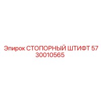5730010565 СТОПОРНЫЙ ШТИФТ Epiroc