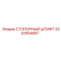 3361854667 СТОПОРНЫЙ ШТИФТ Эпирок