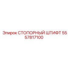 5557817100 СТОПОРНЫЙ ШТИФТ Epiroc