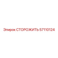 57110124 СТОРОЖИТЬ Epiroc