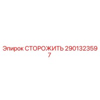 2901323597 СТОРОЖИТЬ Epiroc