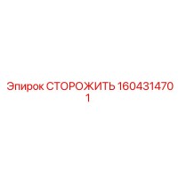 1604314701 СТОРОЖИТЬ Epiroc