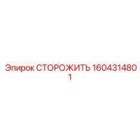 1604314801 СТОРОЖИТЬ Epiroc