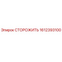 1612393100 СТОРОЖИТЬ Epiroc