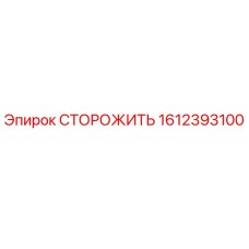 1612393100 СТОРОЖИТЬ Epiroc