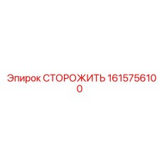 1615756100 СТОРОЖИТЬ Epiroc