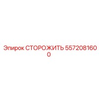 5572081600 СТОРОЖИТЬ Epiroc