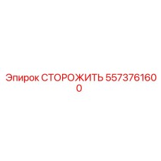 5573761600 СТОРОЖИТЬ Epiroc