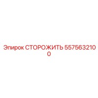5575632100 СТОРОЖИТЬ Epiroc