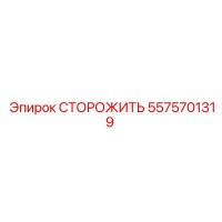 5575701319 СТОРОЖИТЬ Эпирок