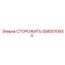 5580010930 СТОРОЖИТЬ Epiroc