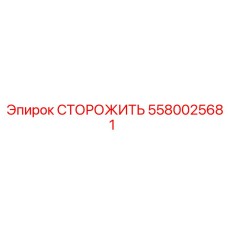 5580025681 СТОРОЖИТЬ Epiroc