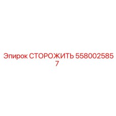 5580025857 СТОРОЖИТЬ Epiroc