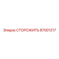 87001217 СТОРОЖИТЬ Epiroc