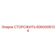 6060006134 СТОРОЖИТЬ Epiroc