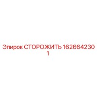 1626642301 СТОРОЖИТЬ Epiroc