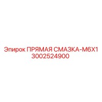 3002524900 ПРЯМАЯ СМАЗКА-M6X1 Epiroc