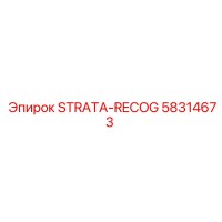 58314673 STRATA-RECOG Epiroc