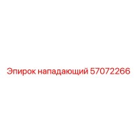 57072266 нападающий Epiroc