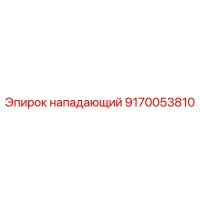 9170053810 нападающий Epiroc