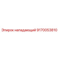 9170053810 нападающий Epiroc