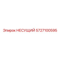 5727100595 НЕСУЩИЙ Epiroc