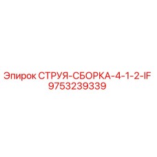 9753239339 СТРУЯ-СБОРКА-4-1-2-IF Epiroc