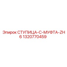 1320770459 СТУПИЦА-C-МУФТА-ZH6 Epiroc