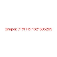 1621505265 СТУПНЯ Epiroc