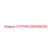 2254195100 СТУПНЯ Epiroc