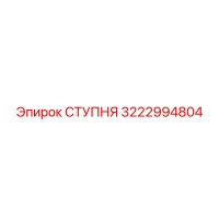 3222994804 СТУПНЯ Epiroc