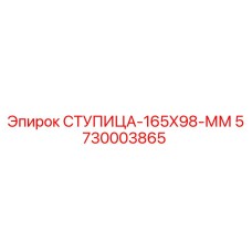 5730003865 СТУПИЦА-165X98-ММ Epiroc