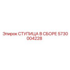 5730004228 СТУПИЦА В СБОРЕ Epiroc