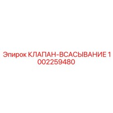 1002259480 КЛАПАН-ВСАСЫВАНИЕ Epiroc