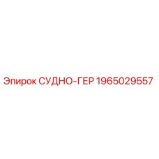 Оригинальный уплотнитель СУДНО-ГЕР артикул 1965029557 Epiroc