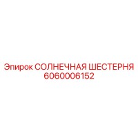 6060006152 СОЛНЕЧНАЯ ШЕСТЕРНЯ Epiroc