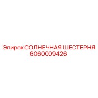 6060009426 СОЛНЕЧНАЯ ШЕСТЕРНЯ Epiroc
