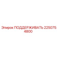 2250754800 ПОДДЕРЖИВАТЬ Epiroc